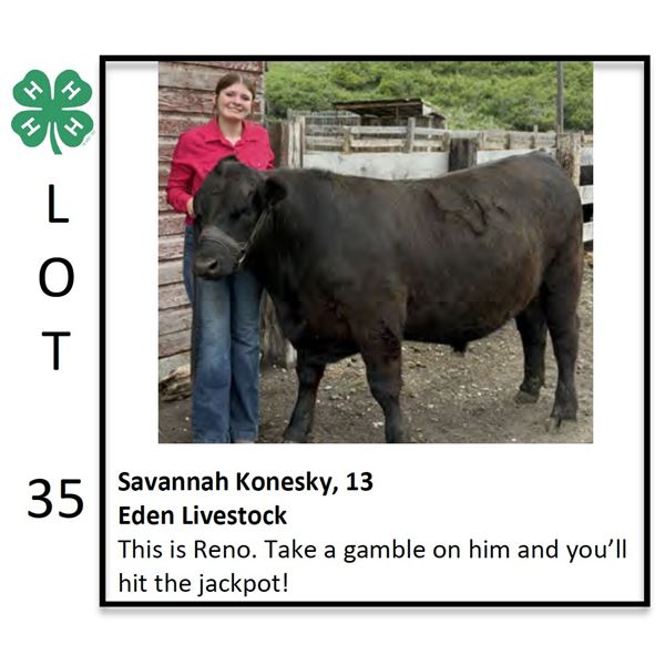 Savannah Konesky - Beef