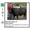 Image 1 : Savannah Konesky - Beef