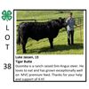 Image 1 : Luke Jassen - Beef