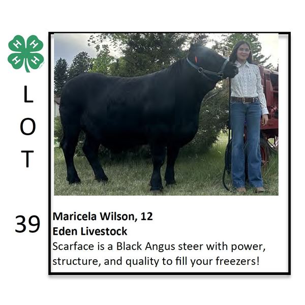 Maricela Wilson - Beef