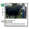 Image 1 : Maricela Wilson - Beef