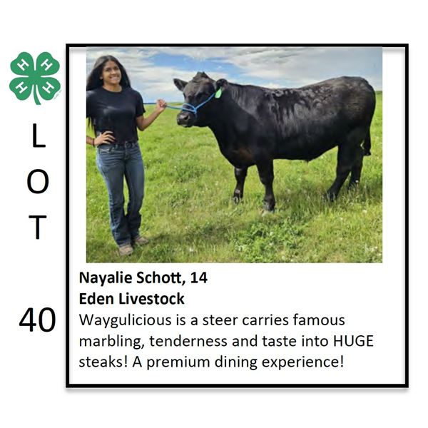 Nayalie Schott - Beef