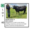 Image 1 : Nayalie Schott - Beef