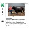 Image 1 : Asher Nelson - Beef