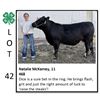 Image 1 : Natalie McKamey - Beef
