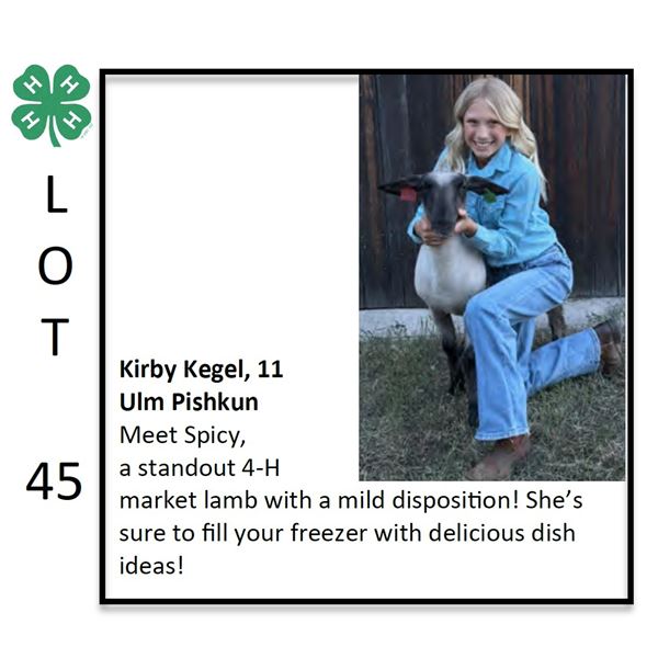 Kirby Kegel - Sheep