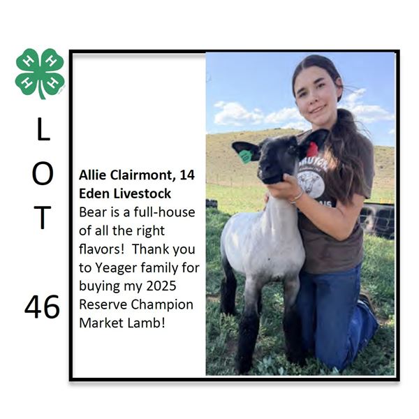 Grand Champion  - Sheep - Allie Clairmont - Sheep
