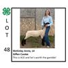 Image 1 : McKinley Annis - Sheep