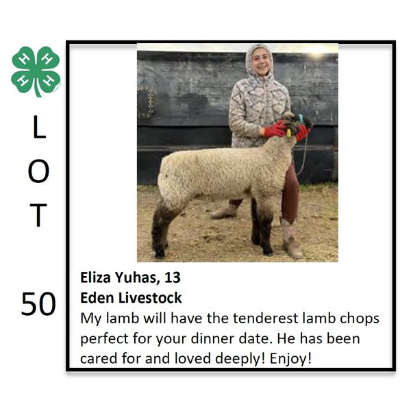 Eliza Yuhas - Sheep