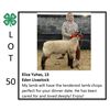 Image 1 : Eliza Yuhas - Sheep