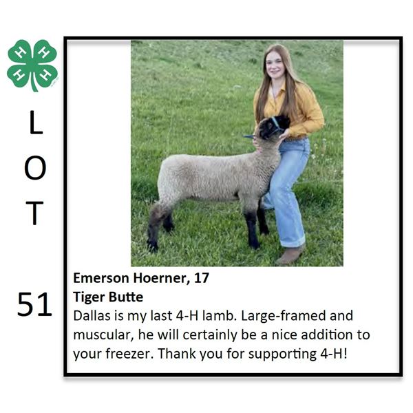Emerson Hoerner - Sheep