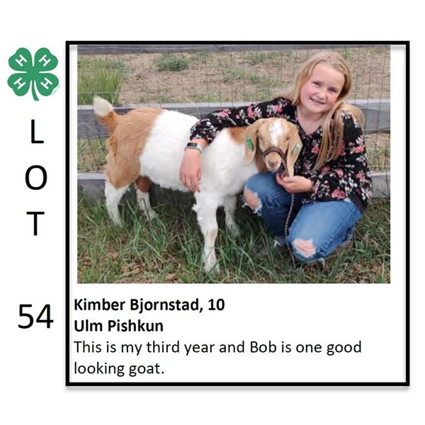 Kimber Bjornstad - Goat
