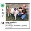 Image 1 : Kimber Bjornstad - Goat