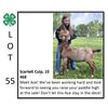 Image 1 : Scarlett Culp - Goat