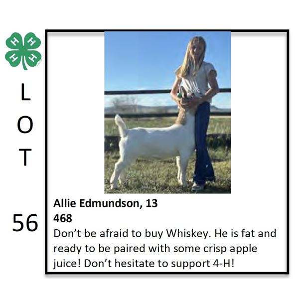 Grand Champion  - Goat - Allison Edmundson - Goat