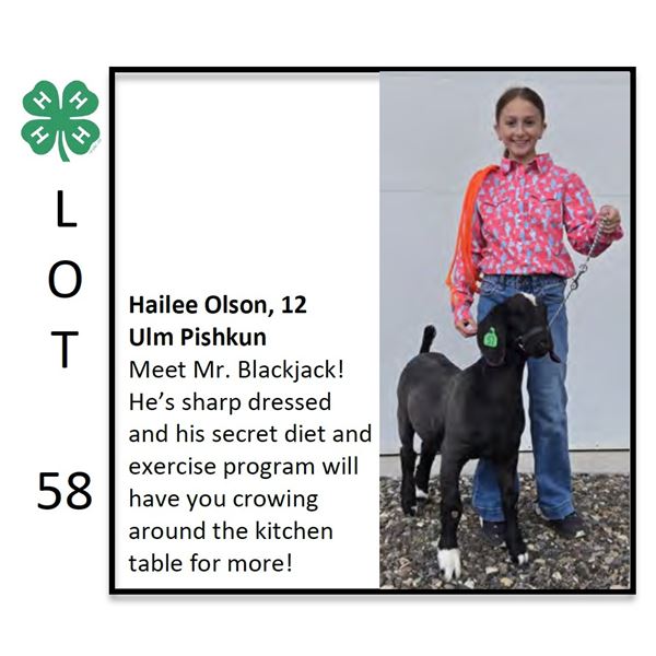 Hailee Olson - Goat