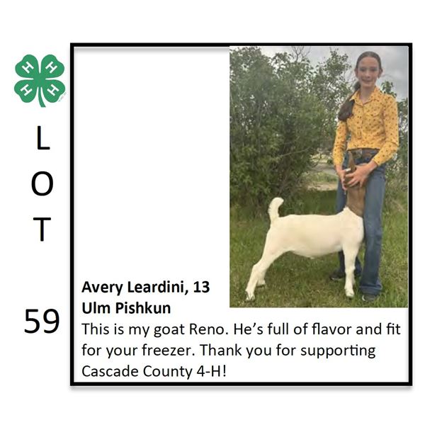 Avery Leardini - Goat