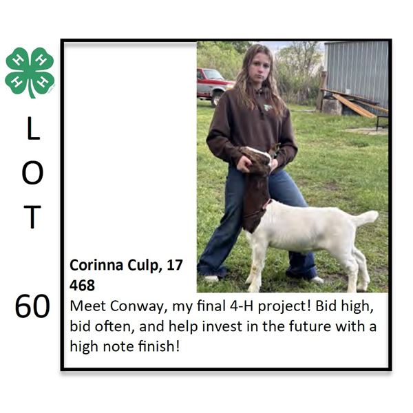Corinna Culp - Goat