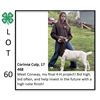 Image 1 : Corinna Culp - Goat