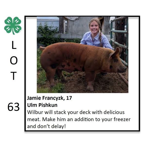 Jamie Francyzk - Swine