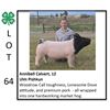Image 1 : Reserve Champion  - Swine- Annibell Calvert - Swine