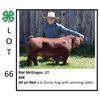 Image 1 : Rial McGregor - Swine