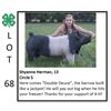Image 1 : Shyanne Herman - Swine
