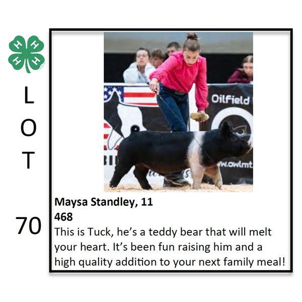 Grand Champion  - Swine- Maysa Standley - Swine