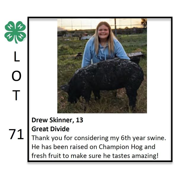 Drew Skinner - Swine