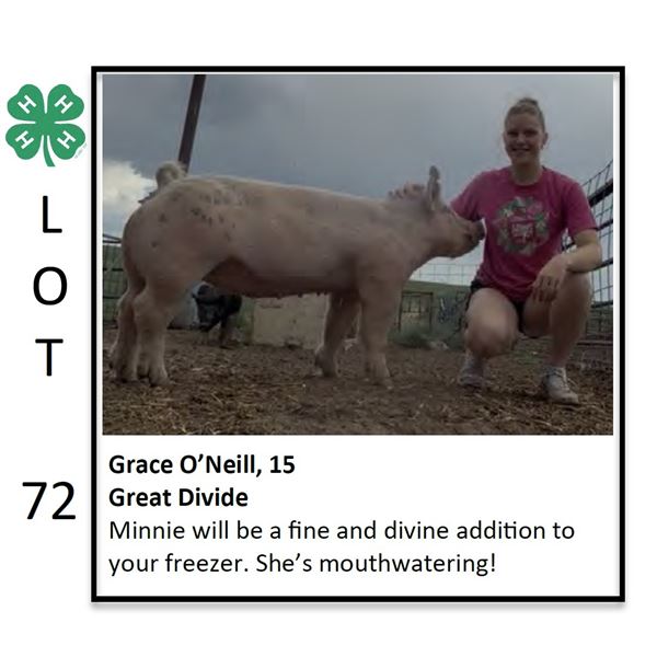 Grace O'Neil - Swine