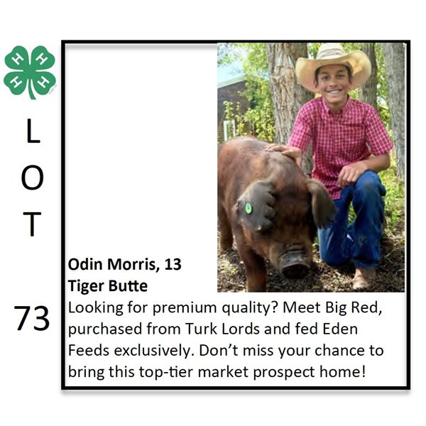 Odin Morris - Swine