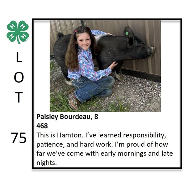 Paisley Bourdeau - Swine