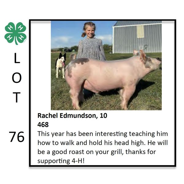 Rachel Edmundson - Swine