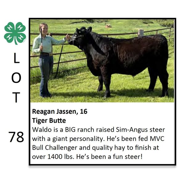 Reagan Jassen - Beef