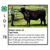 Image 1 : Reagan Jassen - Beef
