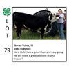 Image 1 : Steven Yuhas - Beef
