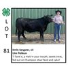 Image 1 : Emily Sangster - Beef