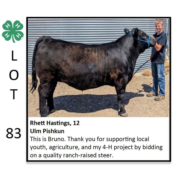 Rhett Hastings - Beef