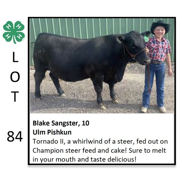 Blake Sangster - Beef