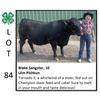 Image 1 : Blake Sangster - Beef