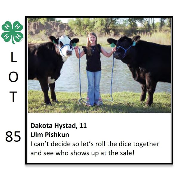 Dakota Hystad - Beef