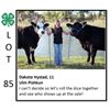 Image 1 : Dakota Hystad - Beef