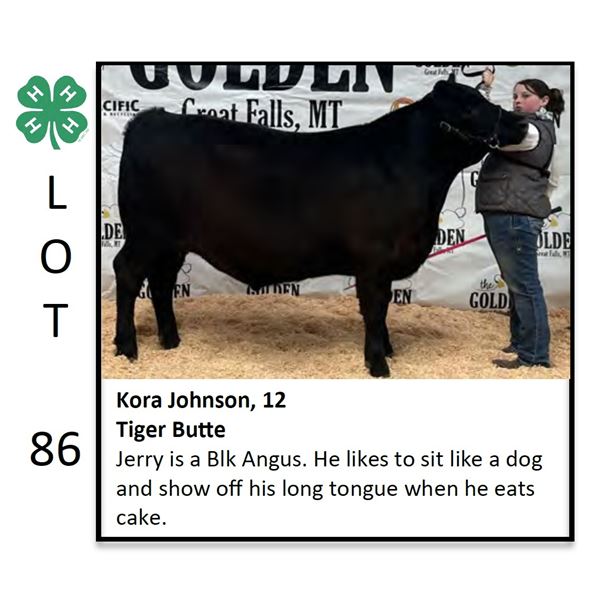 Kora Johnson - Beef