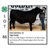 Image 1 : Kora Johnson - Beef