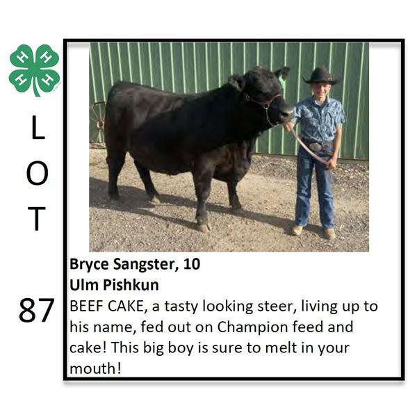 Bryce Sangster - Beef