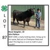 Image 1 : Bryce Sangster - Beef