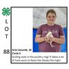 Image 1 : Madison Jennings - Poultry