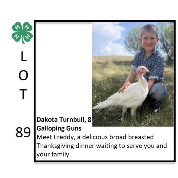 Dakota Turnbull - Poultry