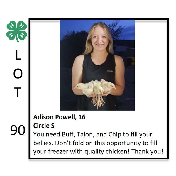 Adison Powell - Poultry
