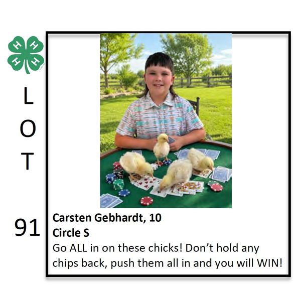 Carsten Gebhart - Poultry